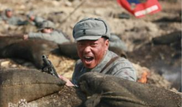 电视剧铁血战狼,烽火岁月里的英雄传奇